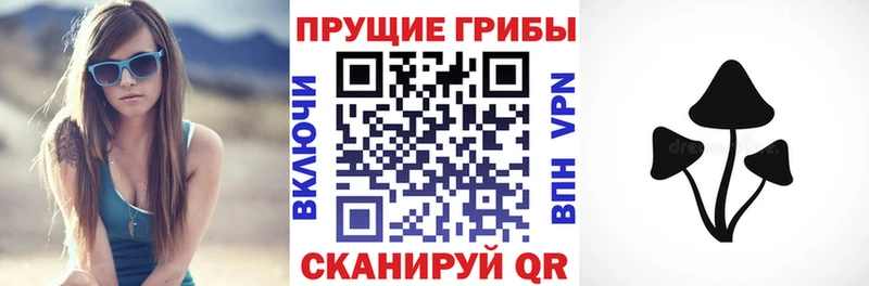 дарнет шоп  Трубчевск  Галлюциногенные грибы GOLDEN TEACHER 